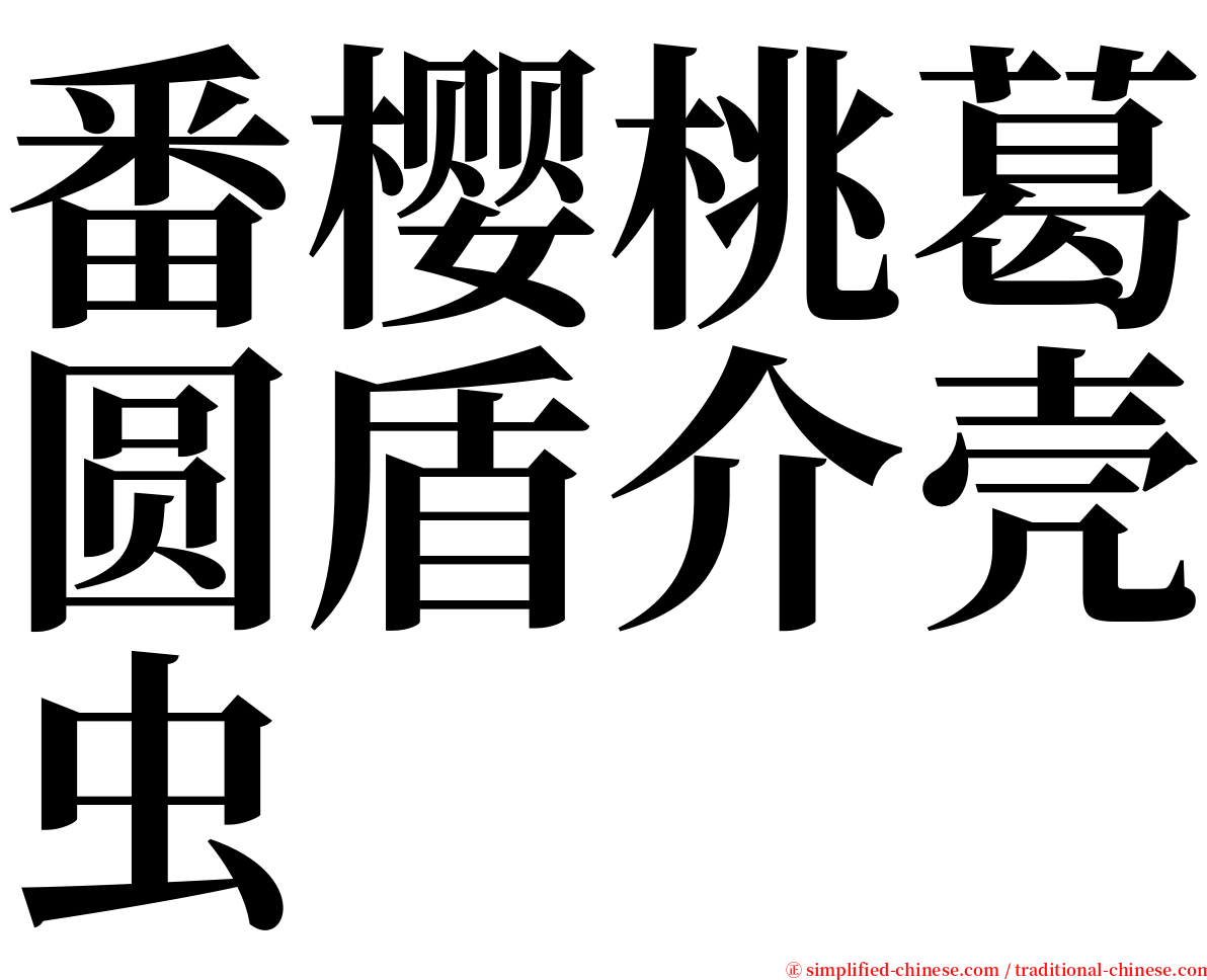 番樱桃葛圆盾介壳虫 serif font