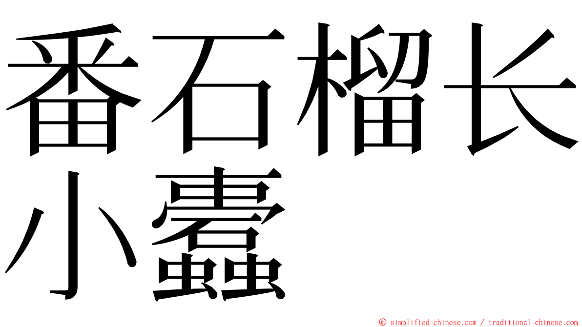 番石榴长小蠹 ming font