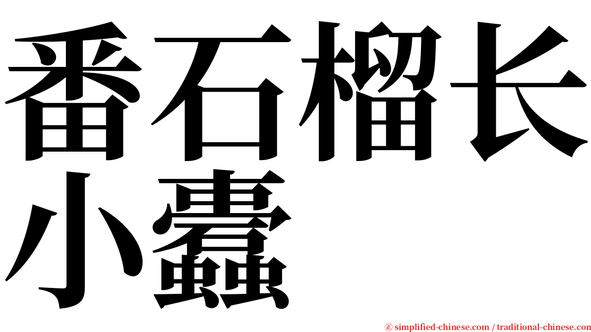 番石榴长小蠹 serif font