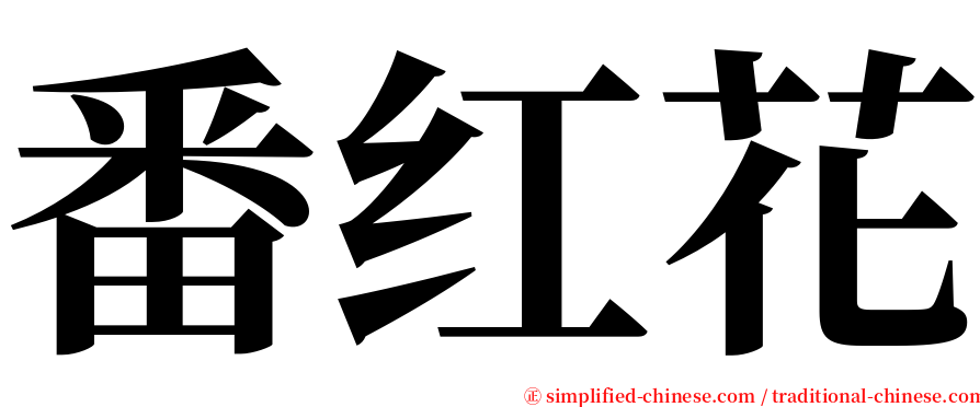 番红花 serif font