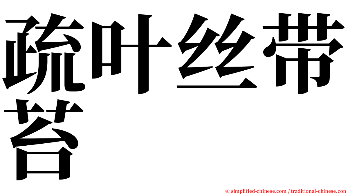 疏叶丝带苔 serif font