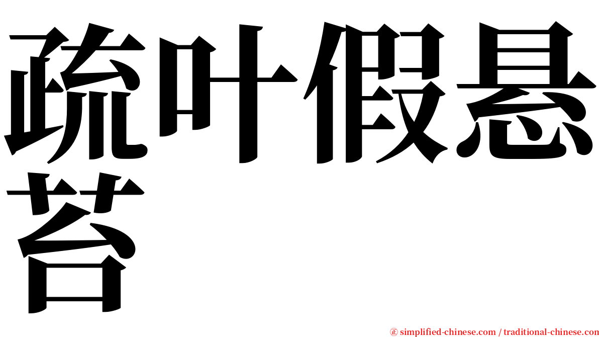 疏叶假悬苔 serif font