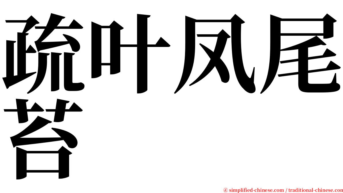 疏叶凤尾苔 serif font