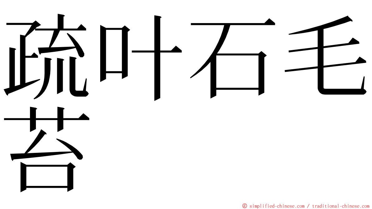 疏叶石毛苔 ming font