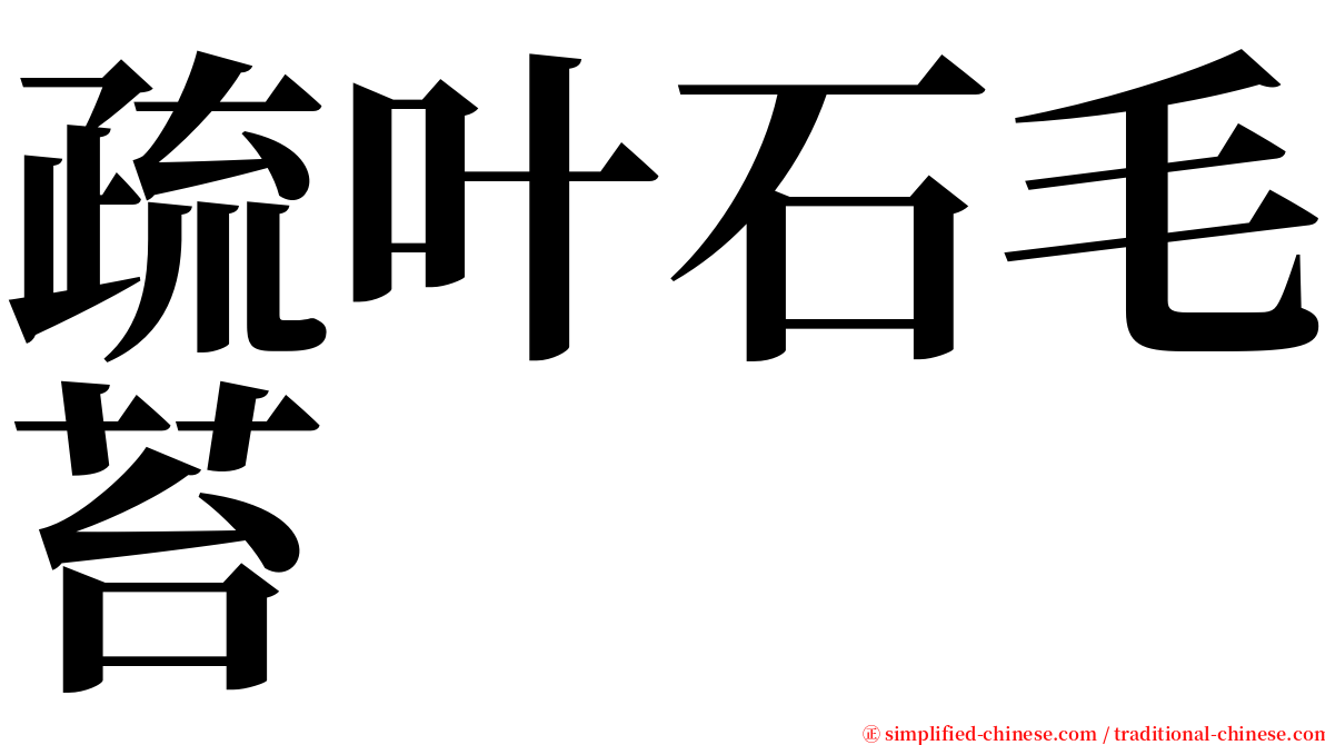 疏叶石毛苔 serif font