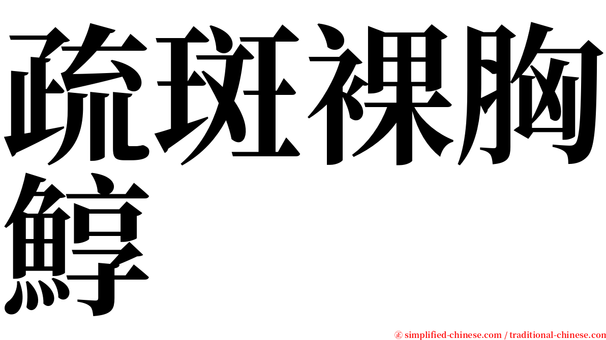 疏斑裸胸鯙 serif font