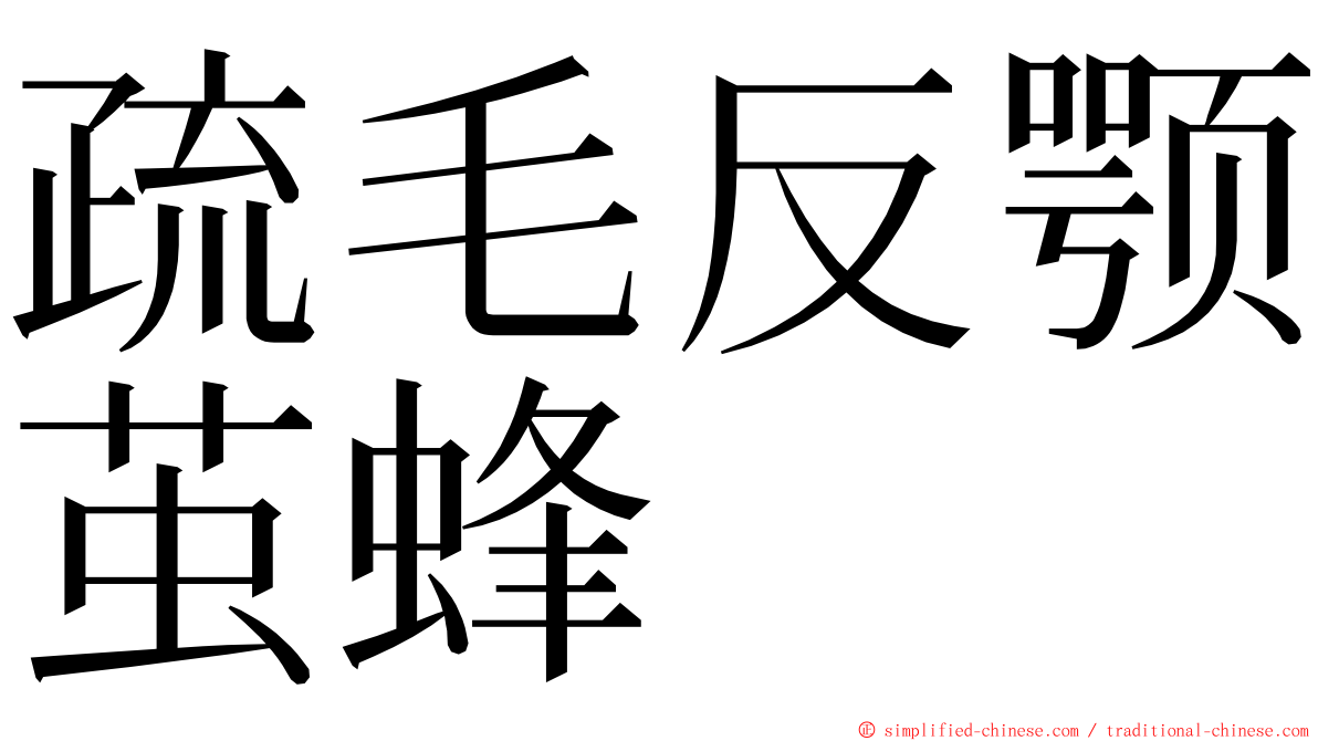 疏毛反颚茧蜂 ming font