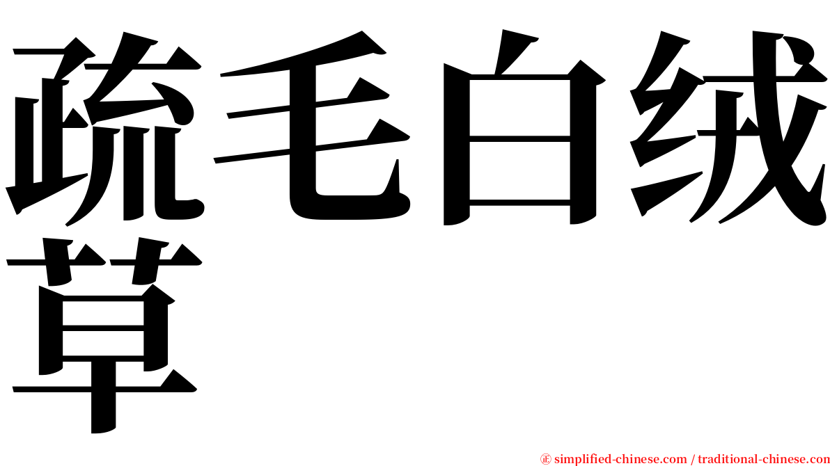 疏毛白绒草 serif font