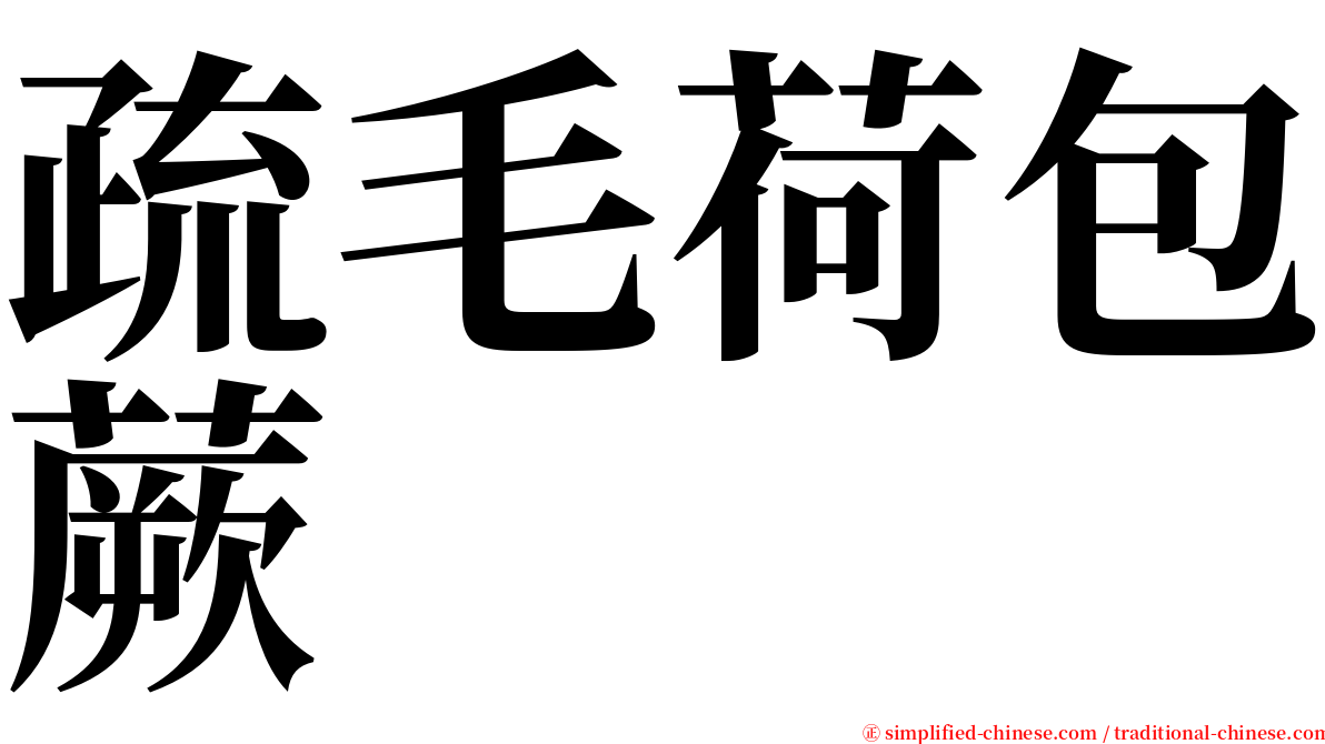 疏毛荷包蕨 serif font