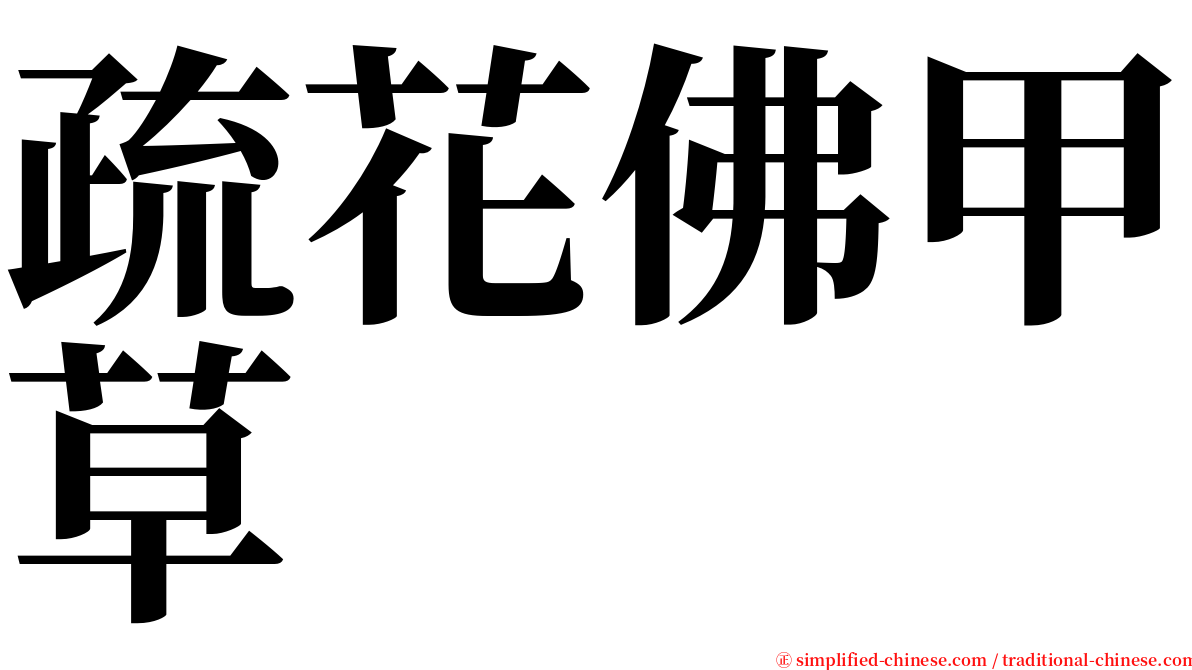 疏花佛甲草 serif font