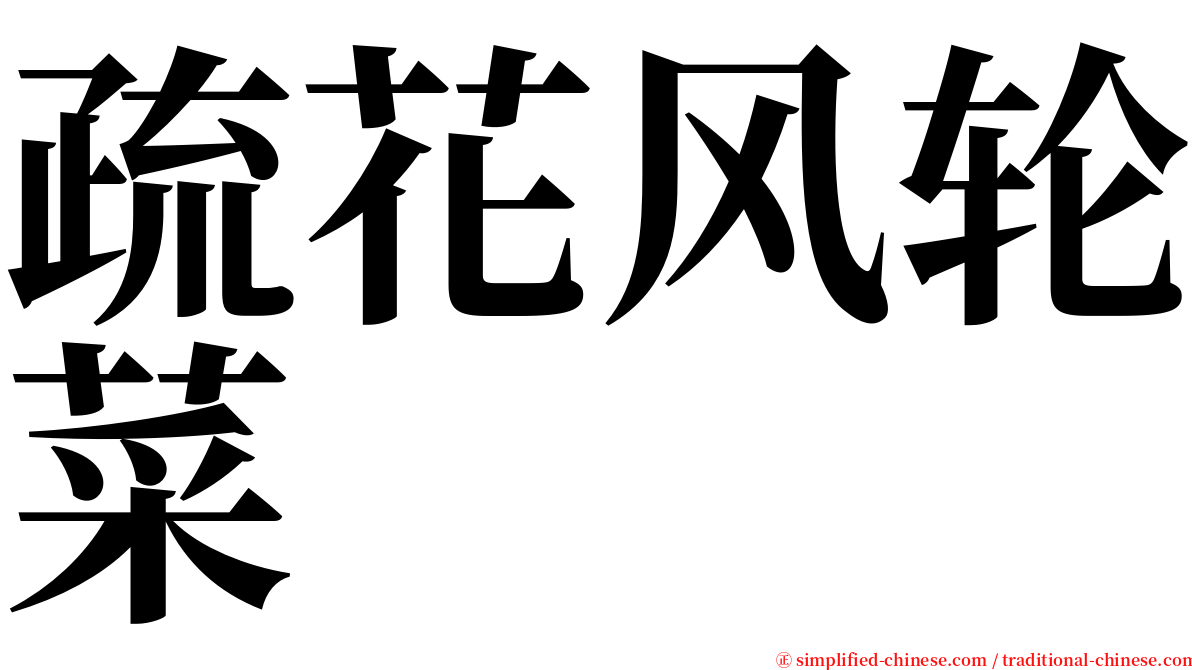 疏花风轮菜 serif font