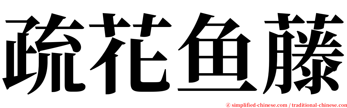 疏花鱼藤 serif font