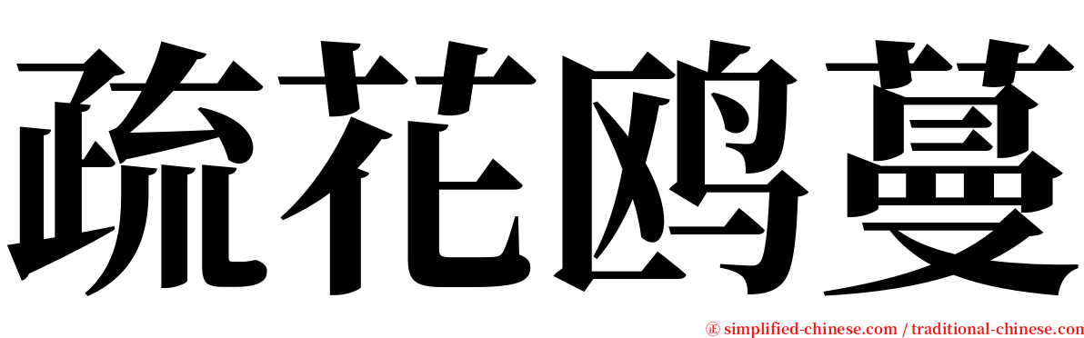 疏花鸥蔓 serif font