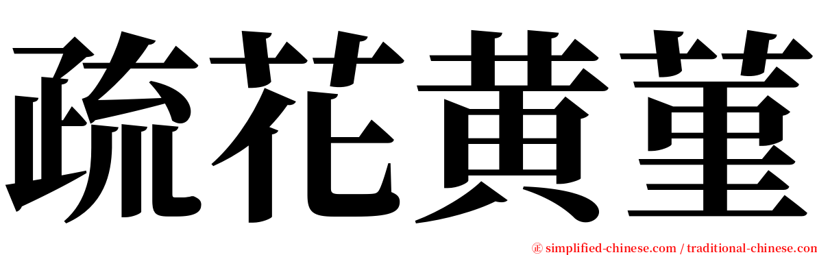 疏花黄菫 serif font