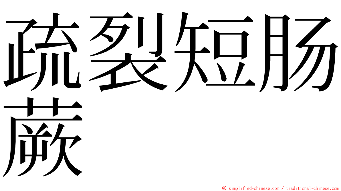 疏裂短肠蕨 ming font