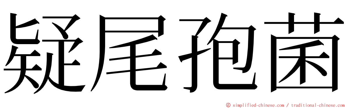 疑尾孢菌 ming font