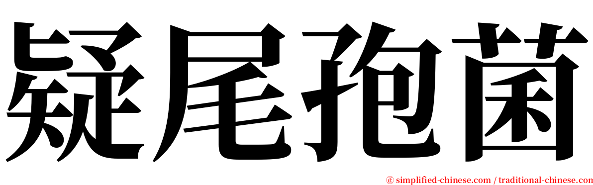 疑尾孢菌 serif font