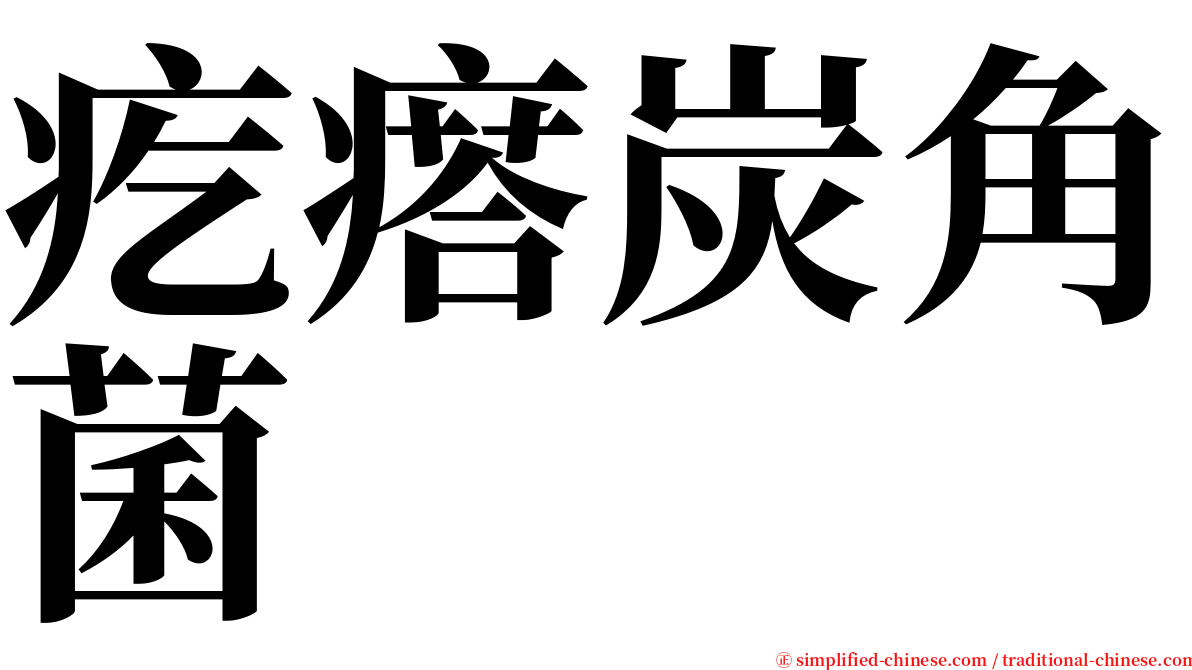 疙瘩炭角菌 serif font