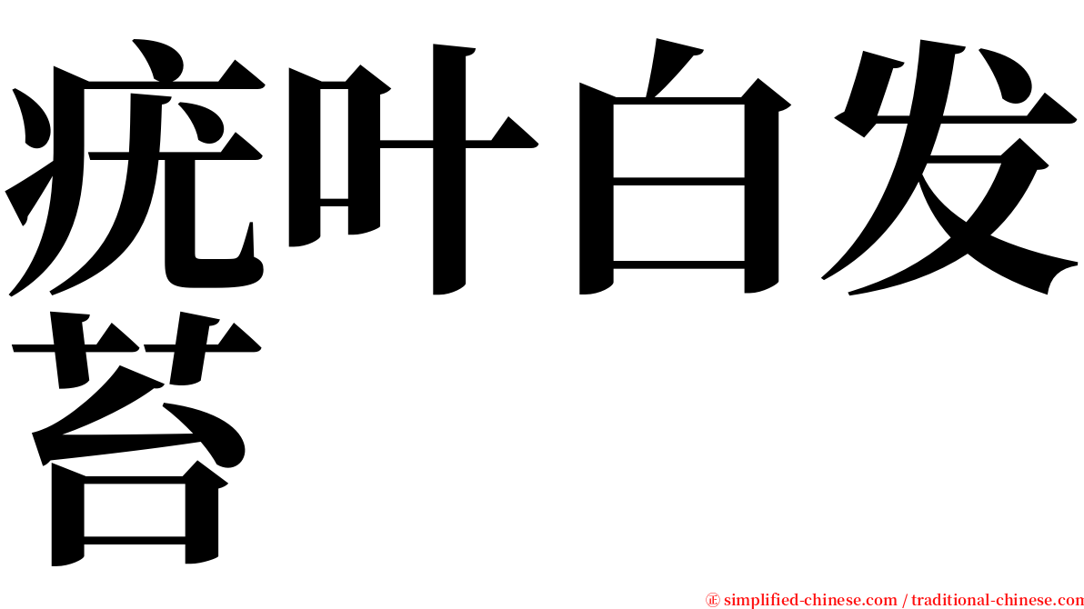 疣叶白发苔 serif font