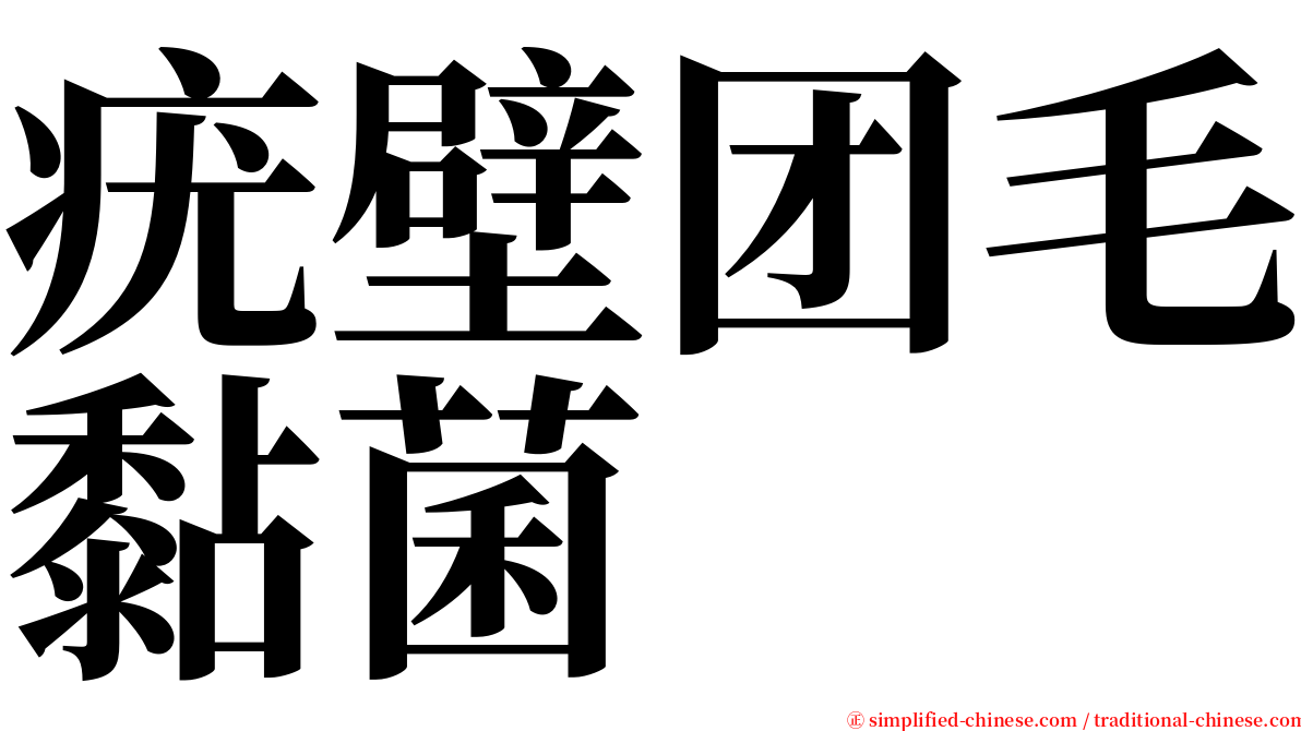 疣壁团毛黏菌 serif font