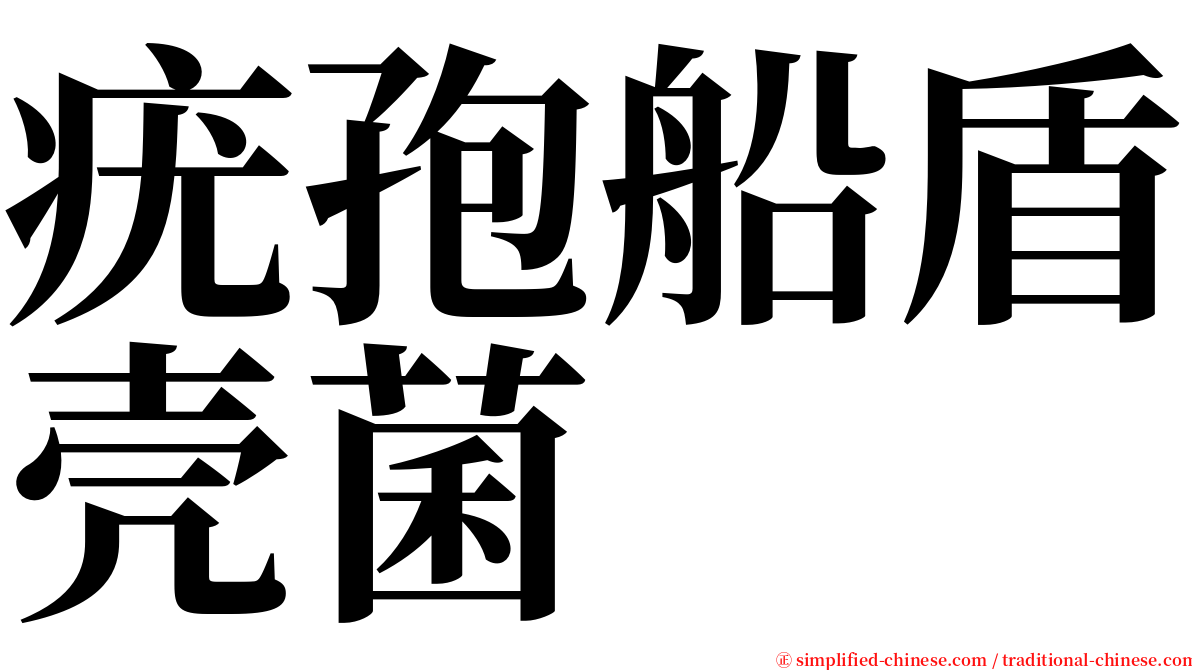 疣孢船盾壳菌 serif font