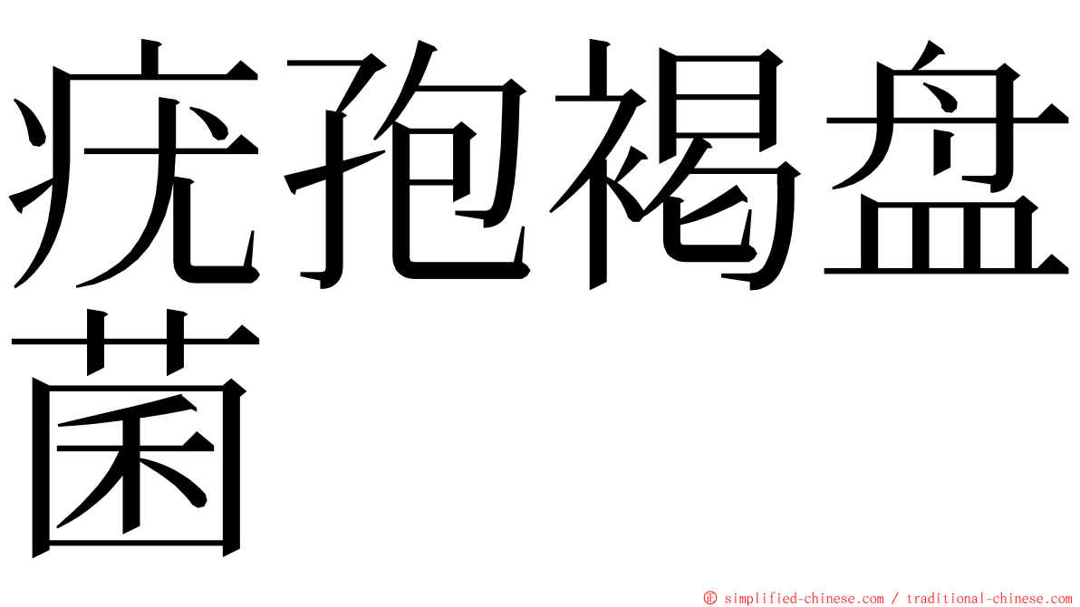 疣孢褐盘菌 ming font