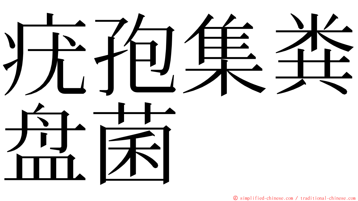 疣孢集粪盘菌 ming font