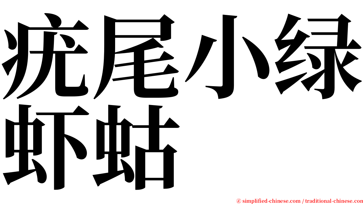 疣尾小绿虾蛄 serif font