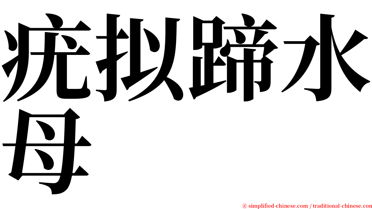 疣拟蹄水母 serif font