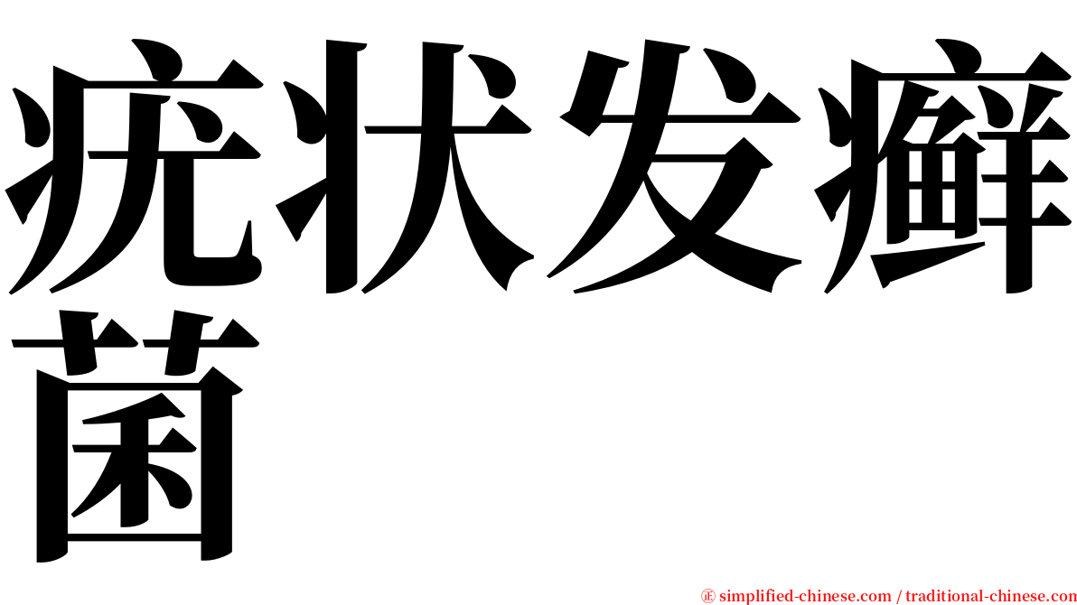 疣状发癣菌 serif font
