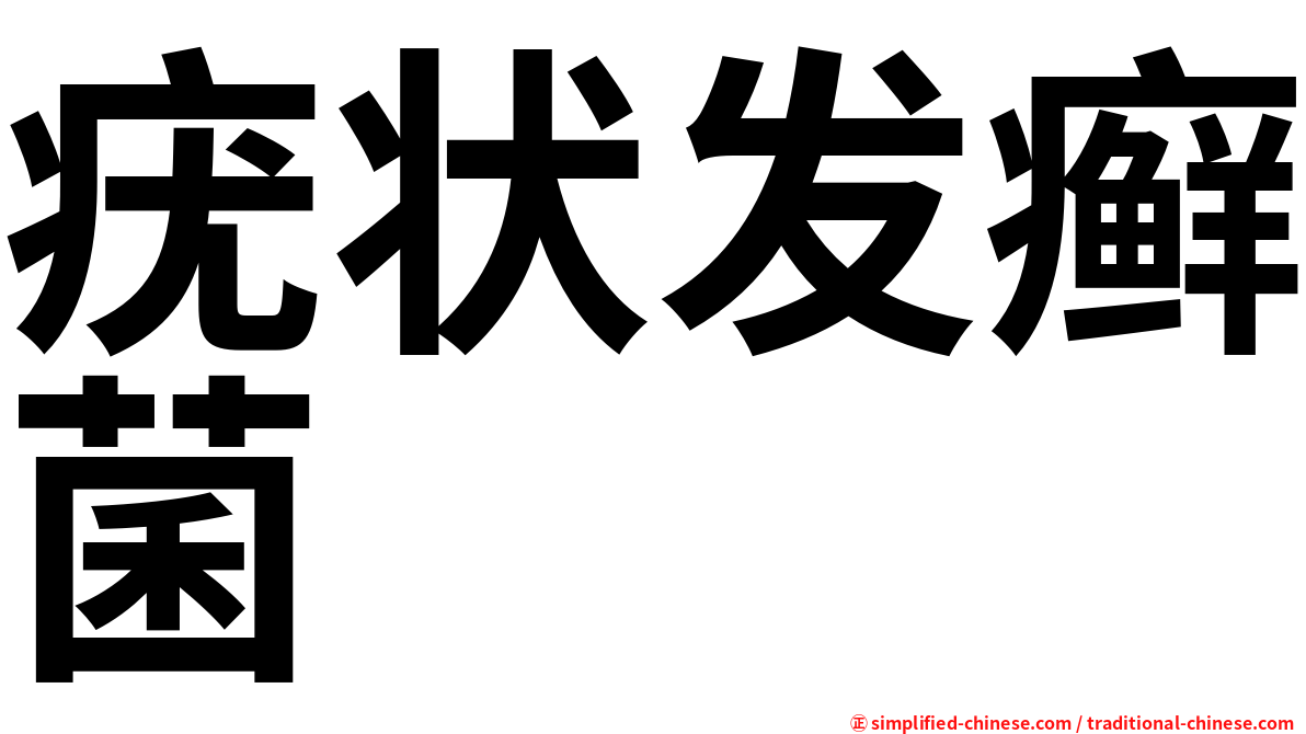 疣状发癣菌