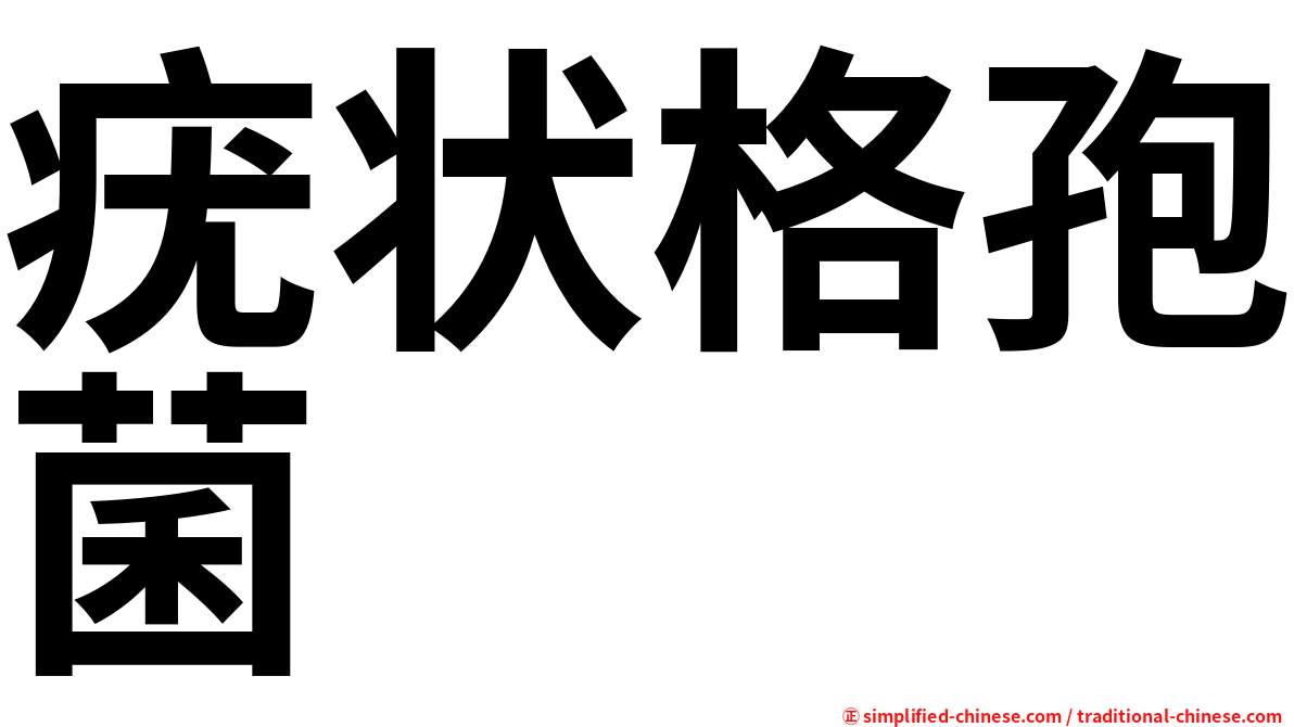 疣状格孢菌