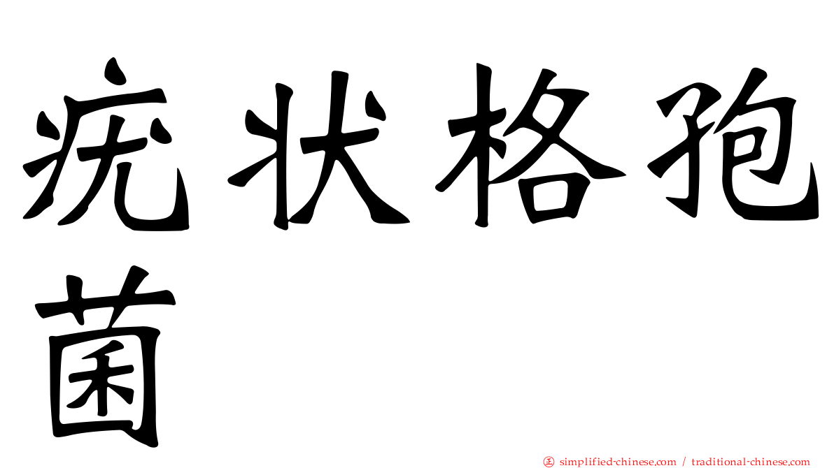 疣状格孢菌