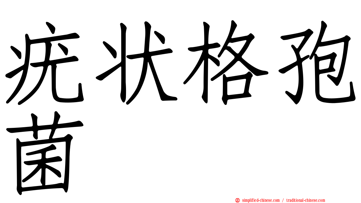 疣状格孢菌
