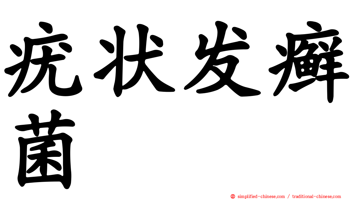 疣状发癣菌