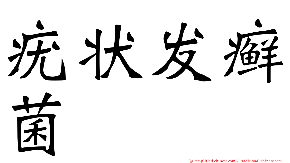 疣状发癣菌