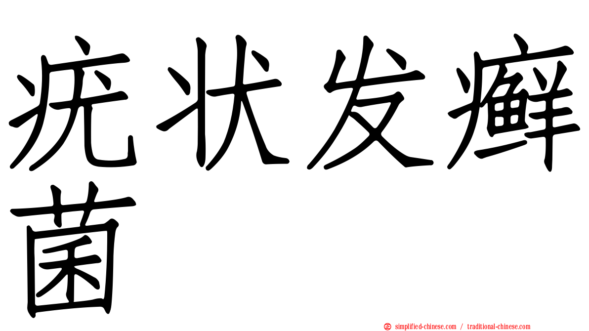疣状发癣菌