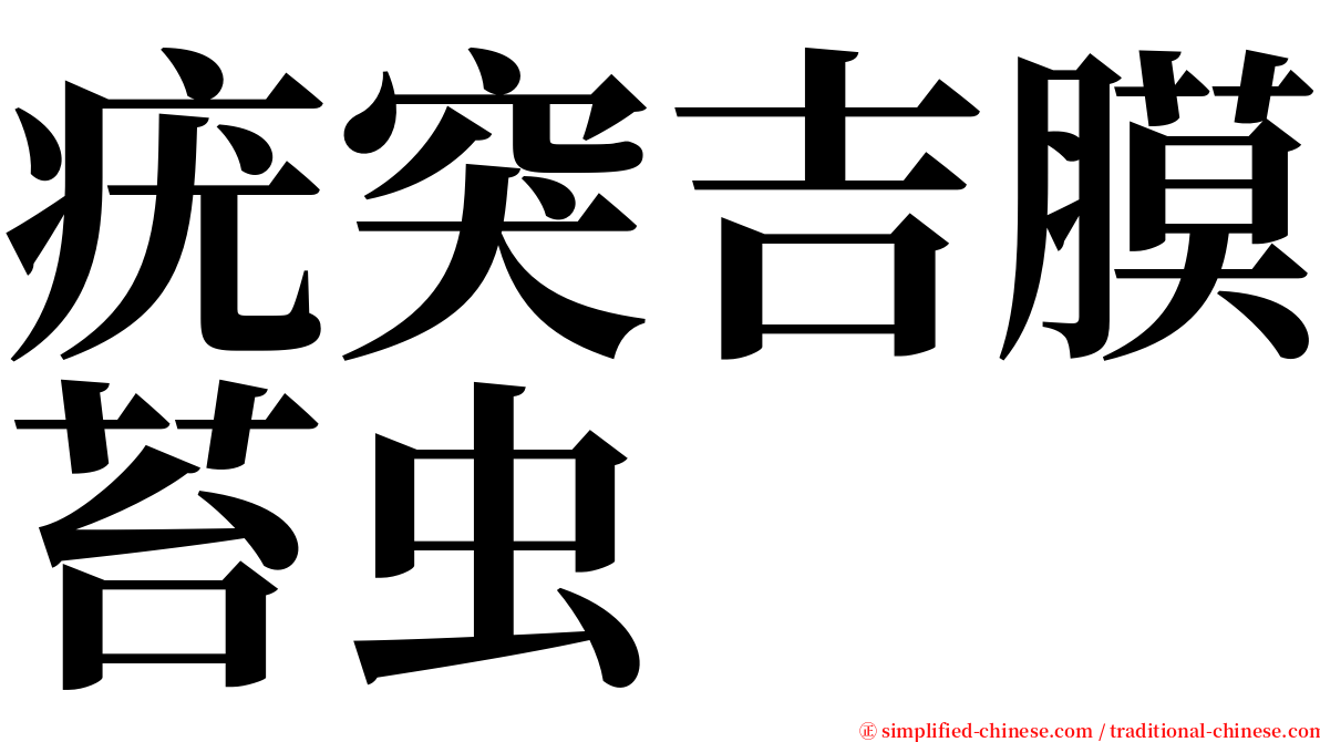 疣突吉膜苔虫 serif font