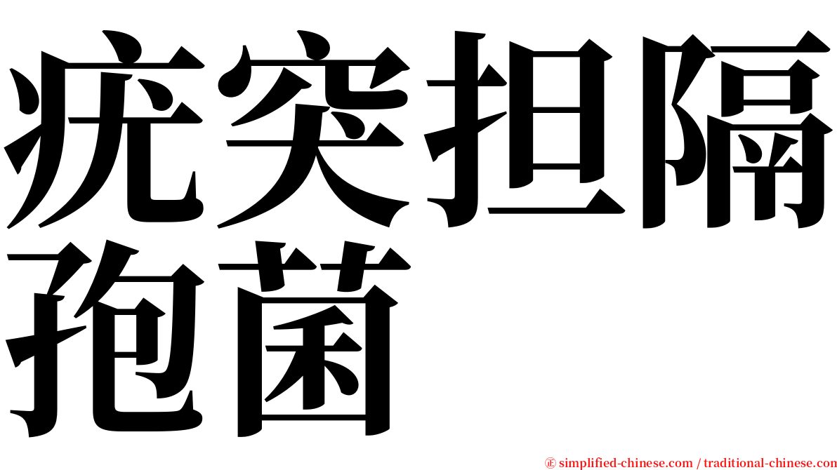 疣突担隔孢菌 serif font