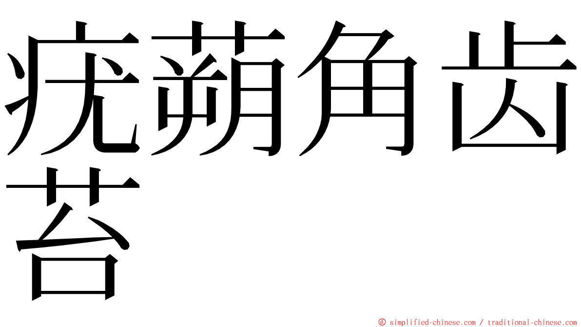 疣蒴角齿苔 ming font