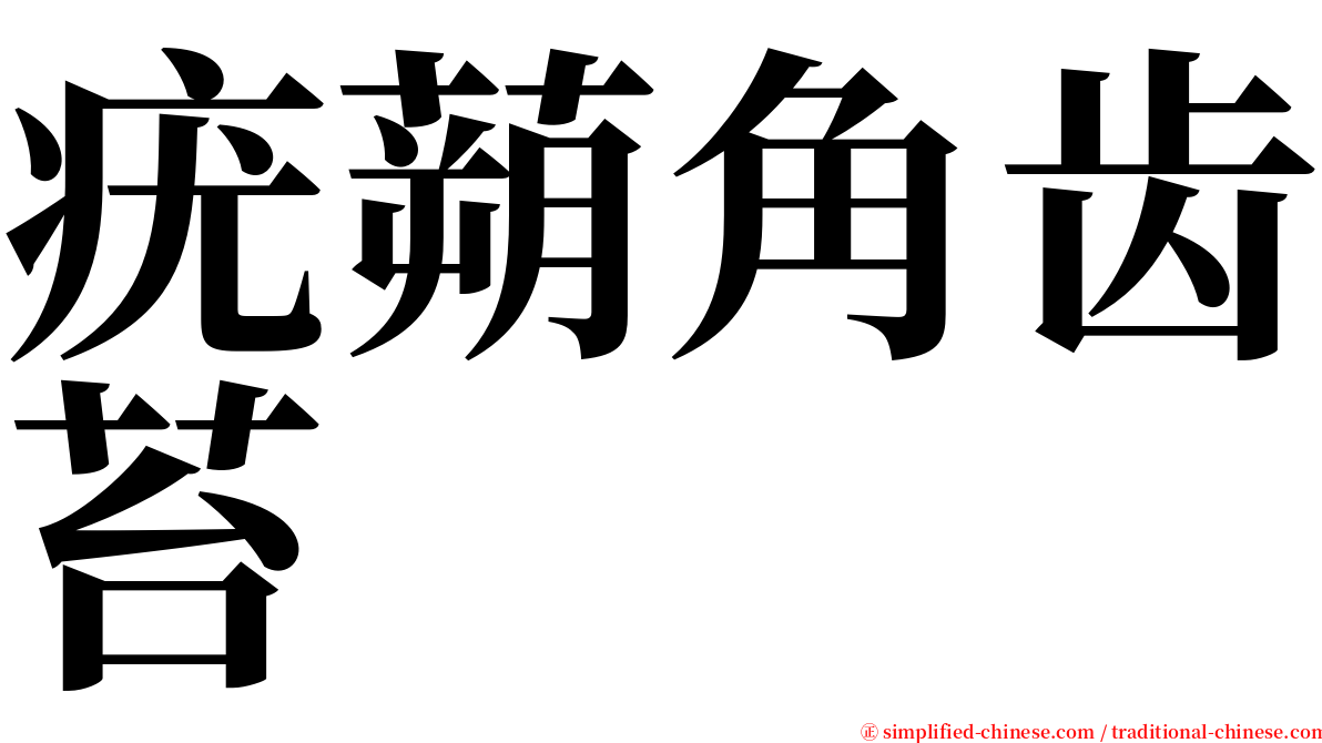 疣蒴角齿苔 serif font