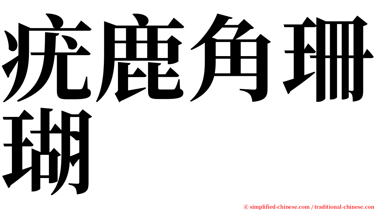 疣鹿角珊瑚 serif font