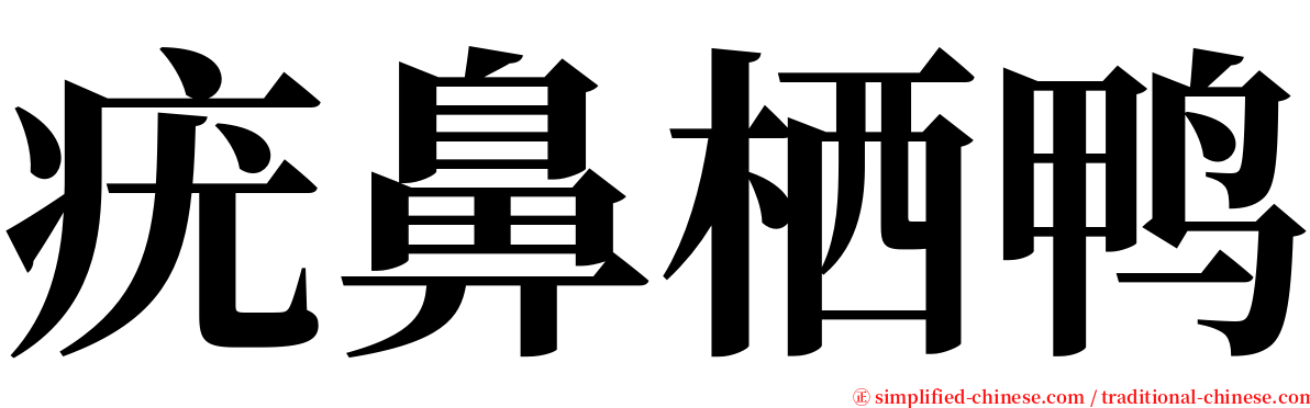 疣鼻栖鸭 serif font