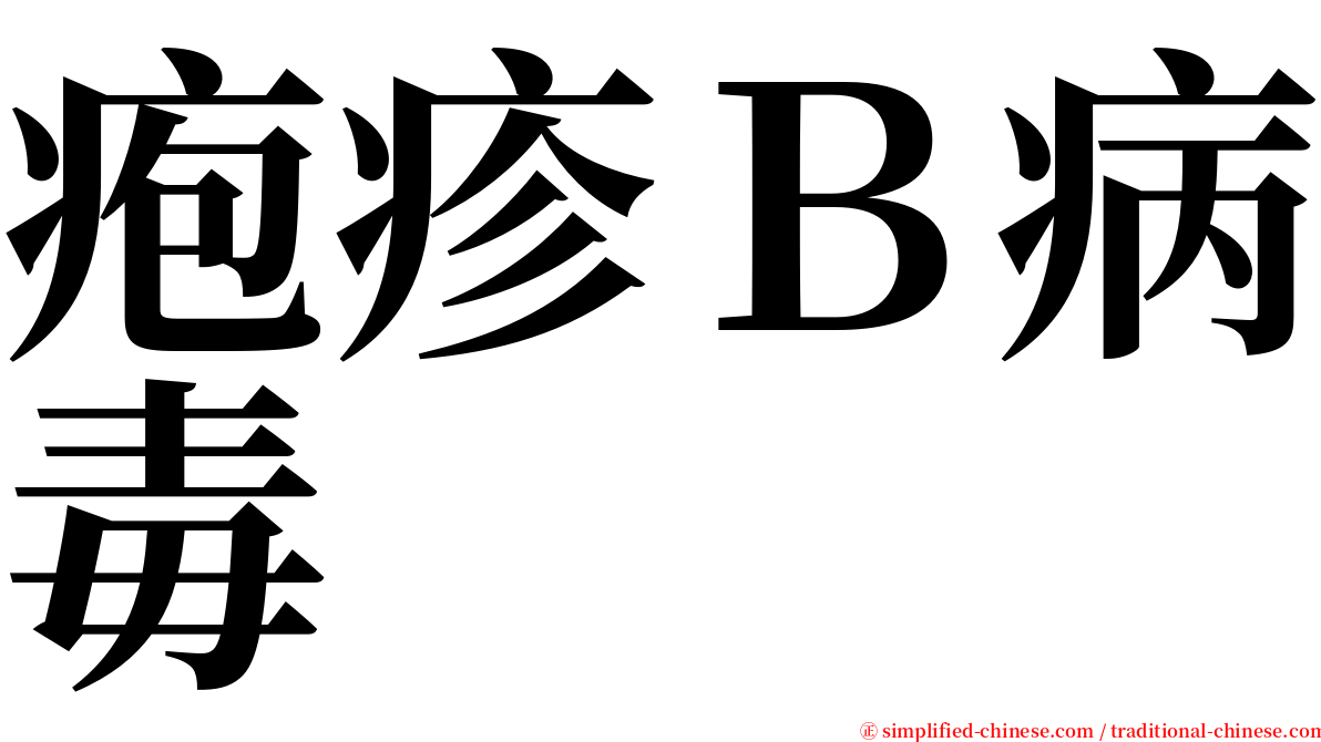 疱疹Ｂ病毒 serif font