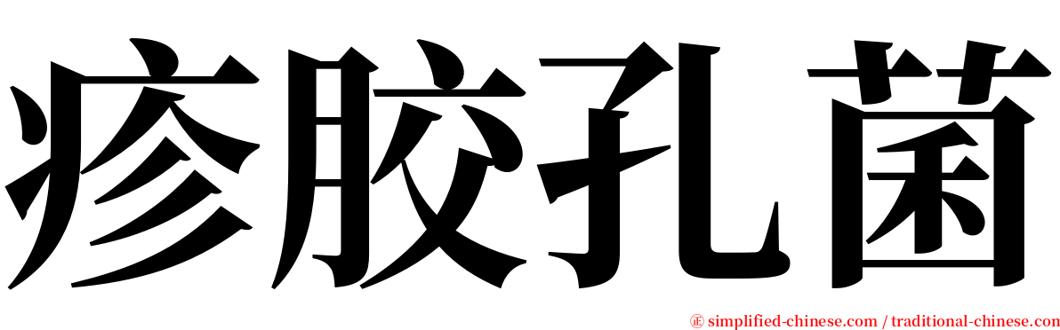 疹胶孔菌 serif font