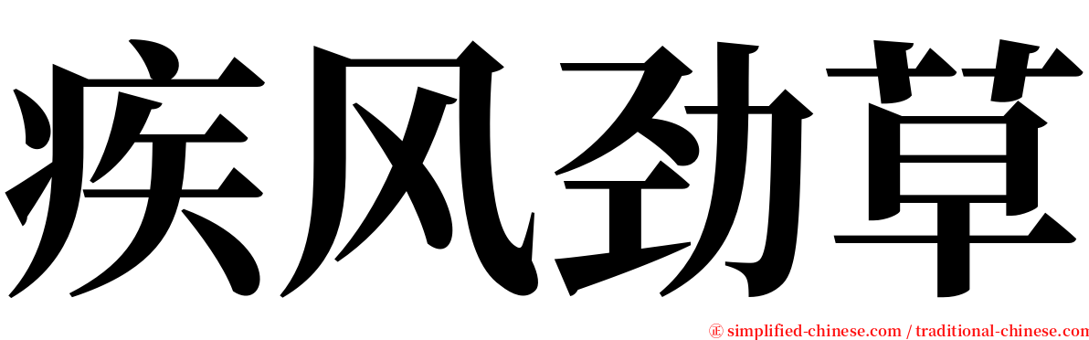 疾风劲草 serif font