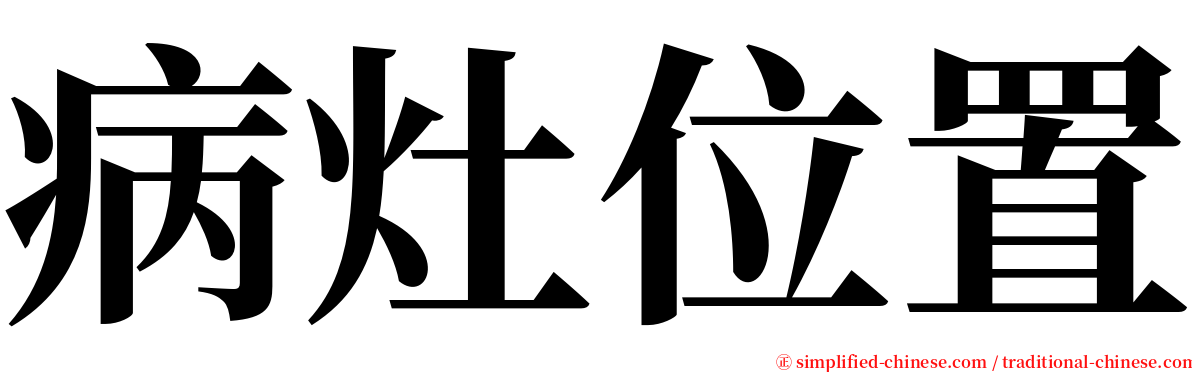 病灶位置 serif font