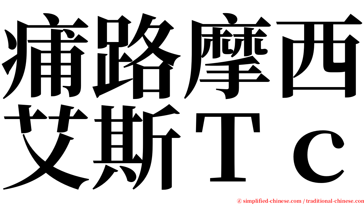 痡路摩西艾斯Ｔｃ serif font