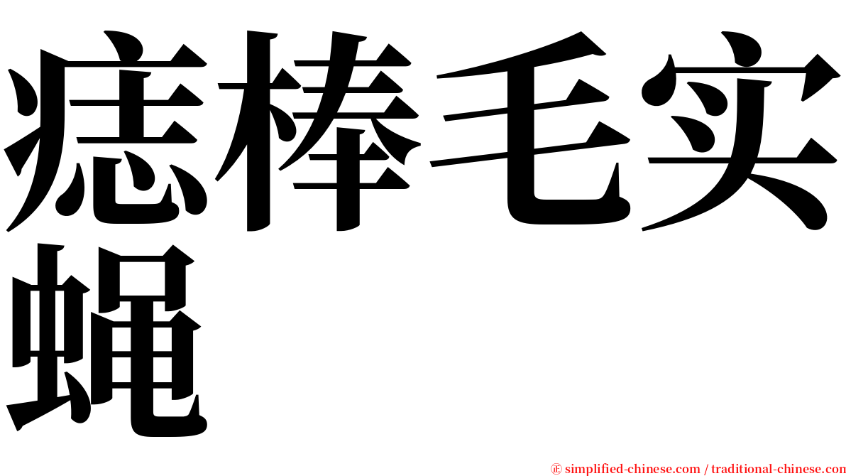 痣棒毛实蝇 serif font