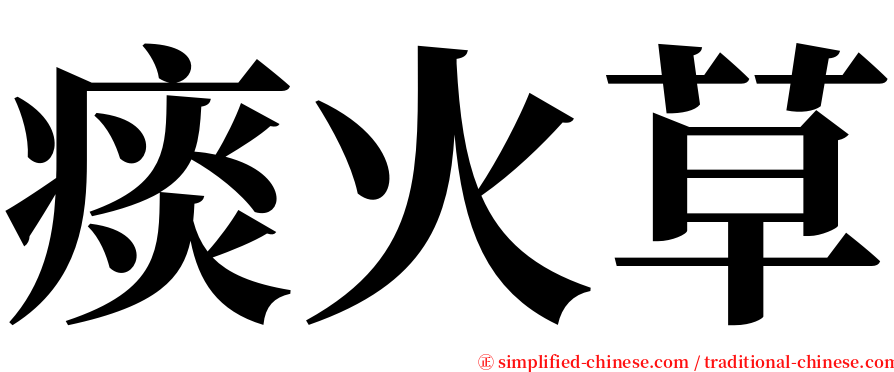 痰火草 serif font